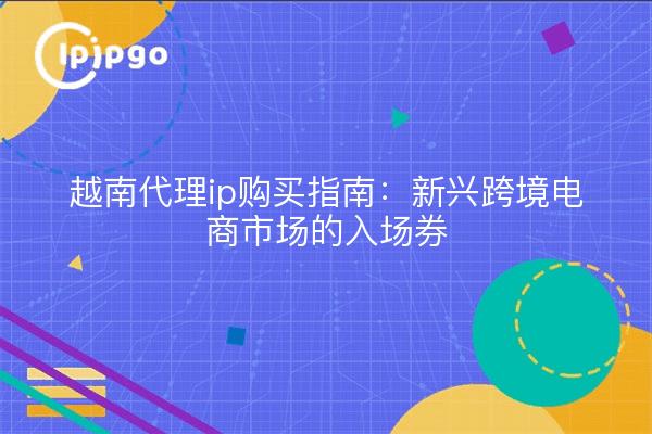 越南代理ip购买指南:新兴跨境电商市场的入场券