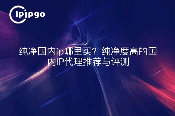 纯净国内ip哪里买?纯净度高的国内IP代理推荐与评测