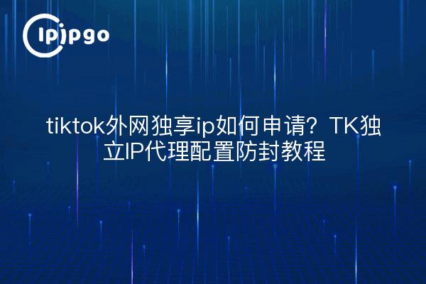 tiktok外网独享ip如何申请?TK独立IP代理配置防封教程