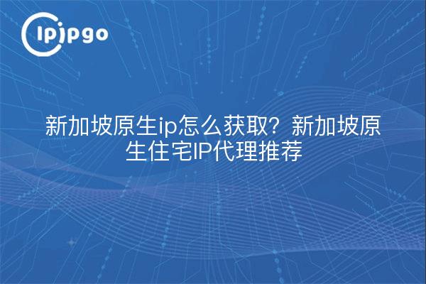 新加坡原生ip怎么获取？新加坡原生住宅IP代理推荐