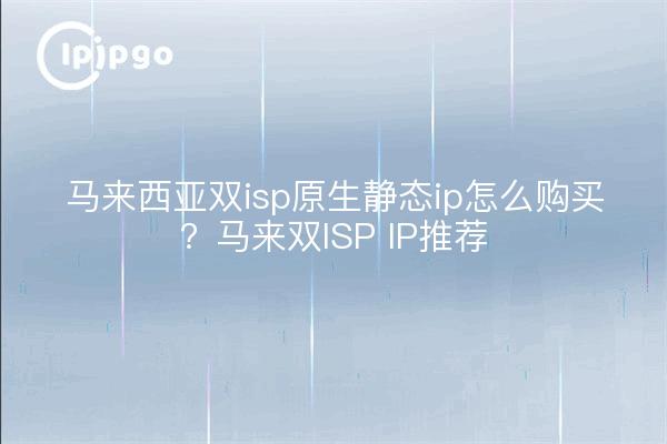 马来西亚双isp原生静态ip怎么购买?马来双ISP IP推荐