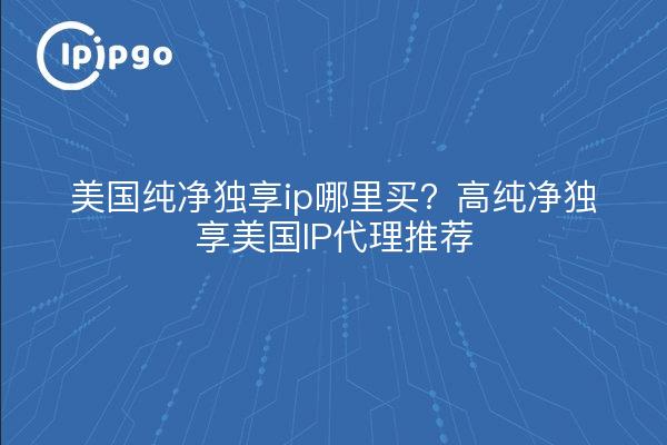 美国纯净独享ip哪里买?高纯净独享美国IP代理推荐