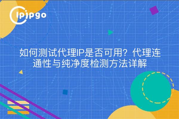 如何测试代理IP是否可用?代理连通性与纯净度检测方法详解