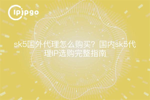 sk5国外代理怎么购买？国内sk5代理IP选购完整指南