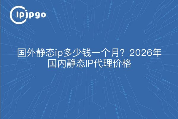 国外静态ip多少钱一个月？2026年国内静态IP代理价格