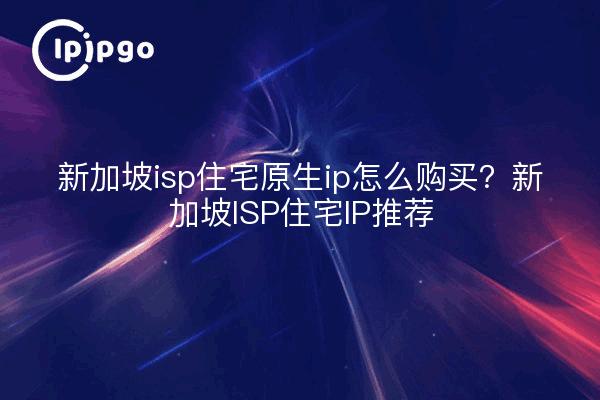 新加坡isp住宅原生ip怎么购买？新加坡ISP住宅IP推荐