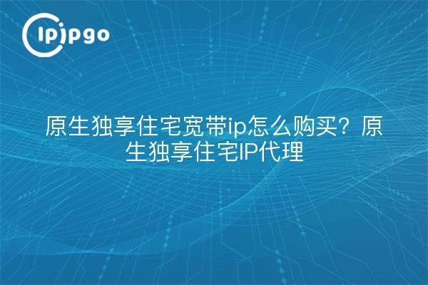 原生独享住宅宽带ip怎么购买?原生独享住宅IP代理