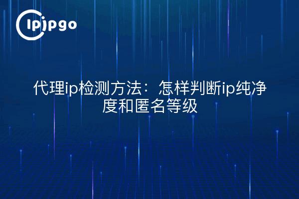 代理ip检测方法:怎样判断ip纯净度和匿名等级
