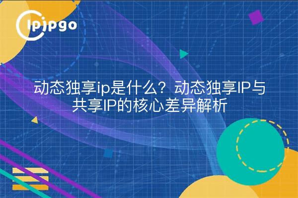 动态独享ip是什么？动态独享IP与共享IP的核心差异解析
