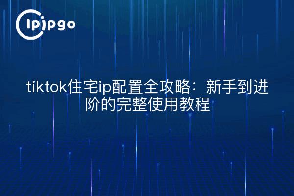 tiktok住宅ip配置全攻略：新手到进阶的完整使用教程