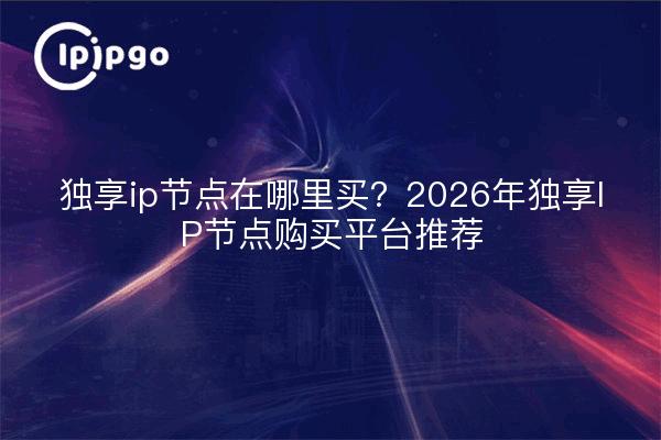 独享ip节点在哪里买？2026年独享IP节点购买平台推荐