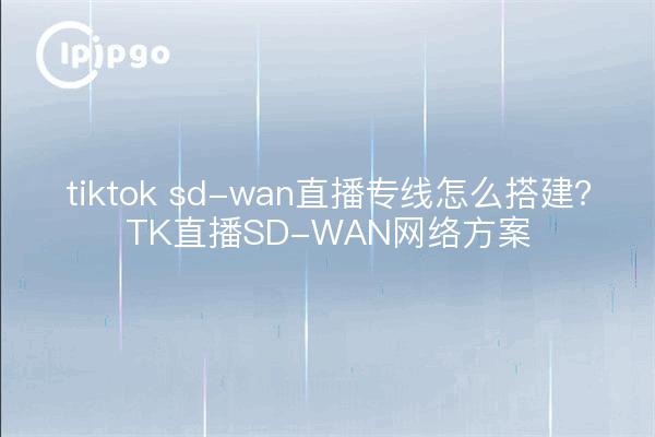 tiktok sd-wan直播专线怎么搭建？TK直播SD-WAN网络方案
