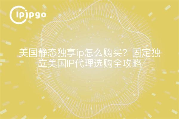 美国静态独享ip怎么购买？固定独立美国IP代理选购全攻略