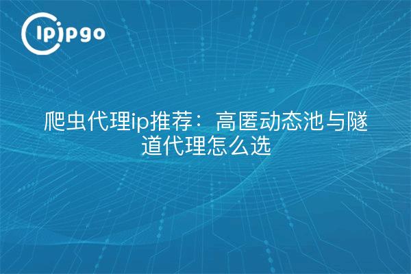爬虫代理ip推荐:高匿动态池与隧道代理怎么选