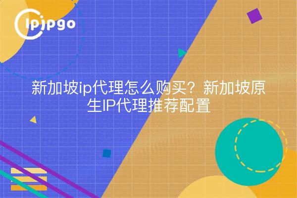 新加坡ip代理怎么购买?新加坡原生IP代理推荐配置