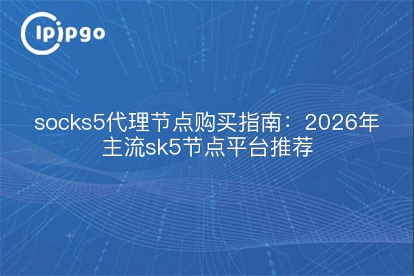socks5代理节点购买指南:2026年主流sk5节点平台推荐