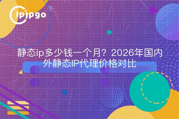 静态ip多少钱一个月?2026年国内外静态IP代理价格对比
