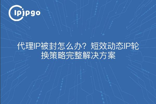 代理IP被封怎么办?短效动态IP轮换策略完整解决方案