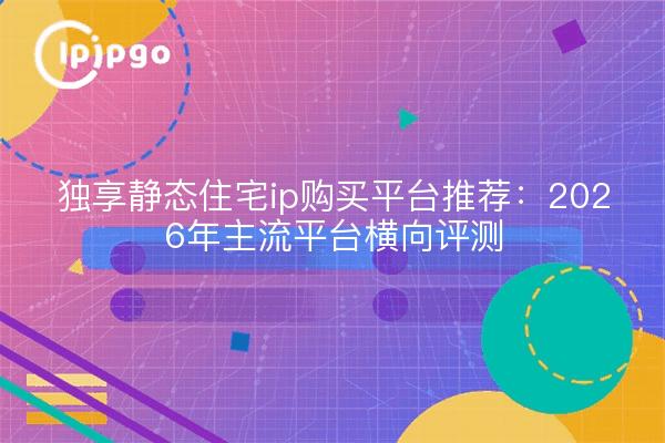 独享静态住宅ip购买平台推荐:2026年主流平台横向评测