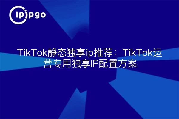 TikTok静态独享ip推荐：TikTok运营专用独享IP配置方案