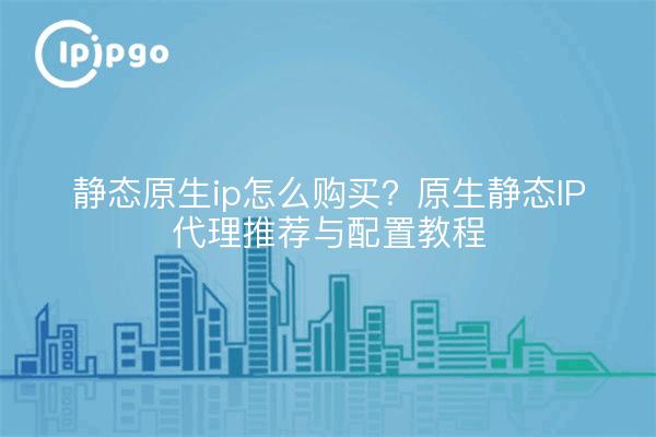 静态原生ip怎么购买？原生静态IP代理推荐与配置教程