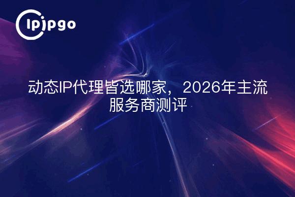 动态IP代理皆选哪家，2026年主流服务商测评