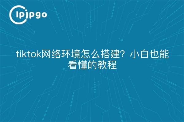 tiktok网络环境怎么搭建?小白也能看懂的教程