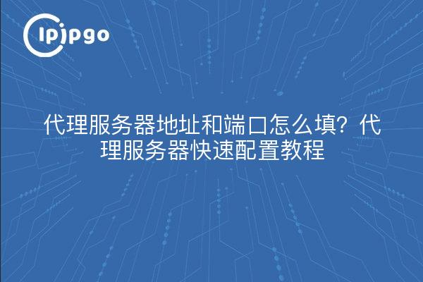 代理服务器地址和端口怎么填?代理服务器快速配置教程