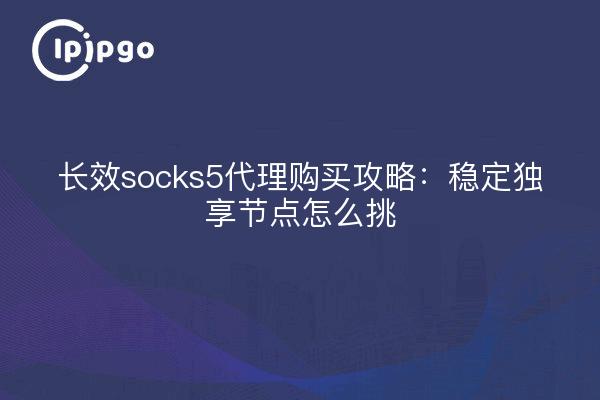 长效socks5代理购买攻略:稳定独享节点怎么挑