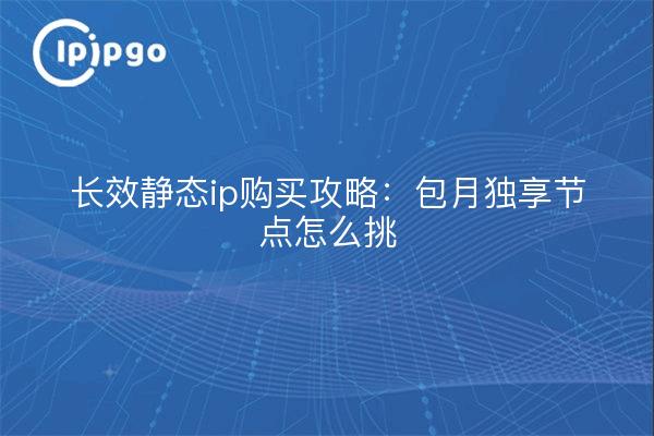 长效静态ip购买攻略:包月独享节点怎么挑