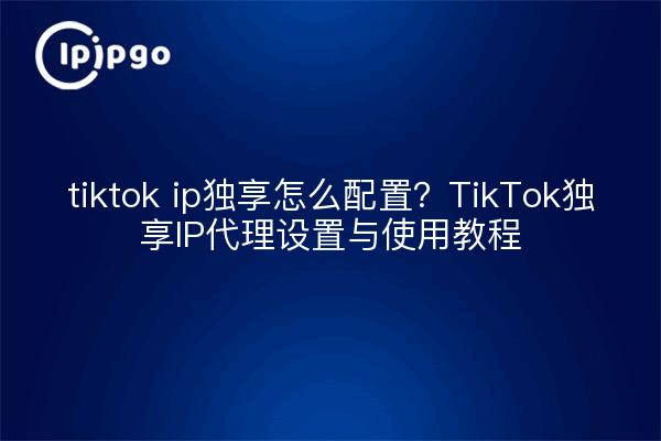 tiktok ip独享怎么配置？TikTok独享IP代理设置与使用教程