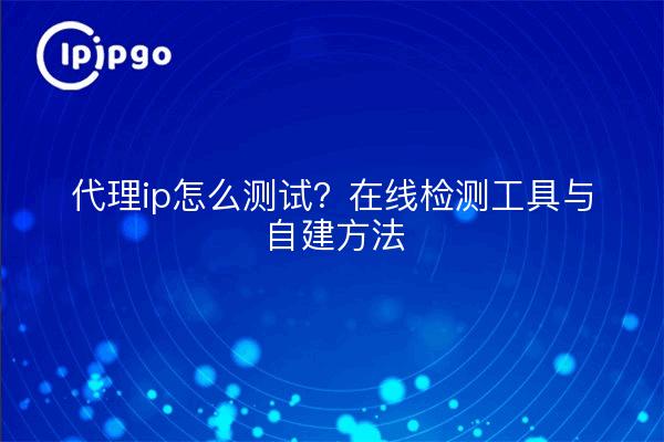 代理ip怎么测试?在线检测工具与自建方法