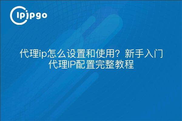 代理ip怎么设置和使用？新手入门代理IP配置完整教程
