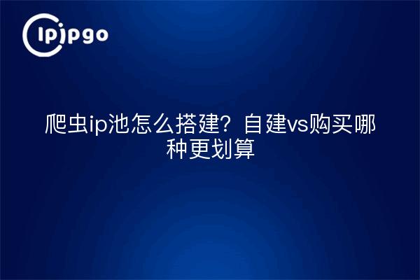 爬虫ip池怎么搭建?自建vs购买哪种更划算