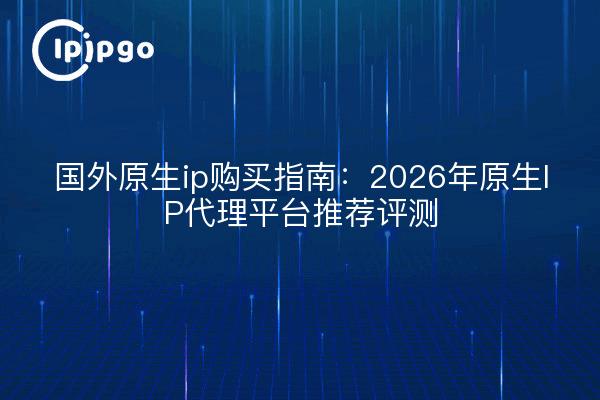 国外原生ip购买指南:2026年原生IP代理平台推荐评测