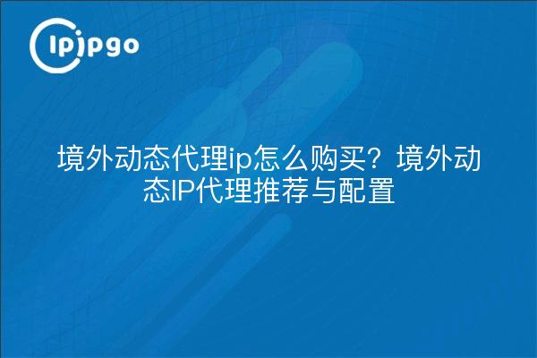 境外动态代理ip怎么购买？境外动态IP代理推荐与配置