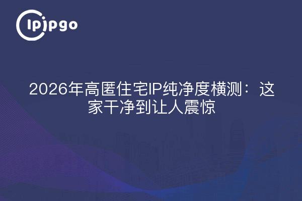 2026年高匿住宅IP纯净度横测：这家干净到让人震惊