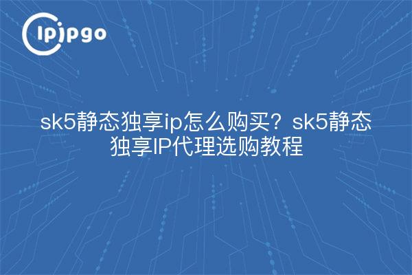 sk5静态独享ip怎么购买？sk5静态独享IP代理选购教程