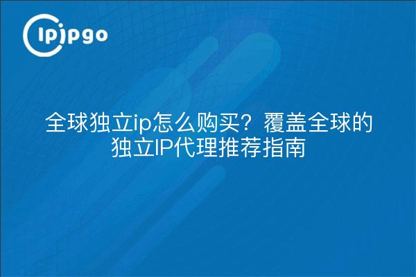 全球独立ip怎么购买?覆盖全球的独立IP代理推荐指南