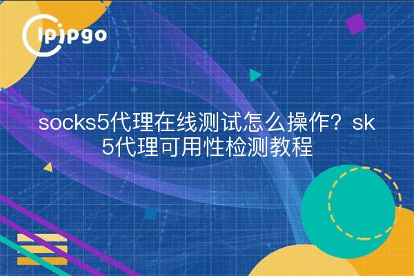 socks5代理在线测试怎么操作？sk5代理可用性检测教程
