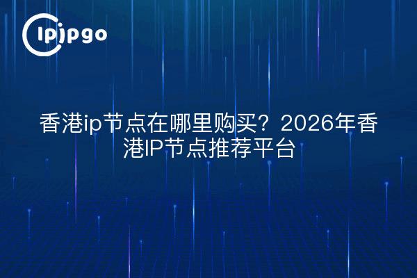 香港ip节点在哪里购买?2026年香港IP节点推荐平台