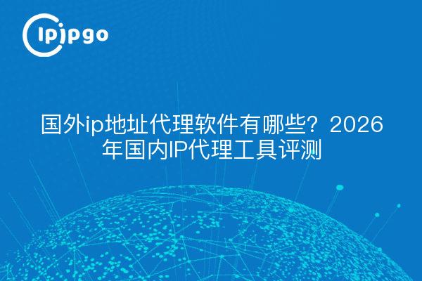 国外ip地址代理软件有哪些？2026年国内IP代理工具评测