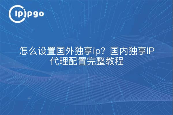 怎么设置国外独享ip？国内独享IP代理配置完整教程