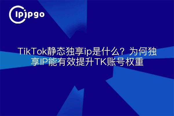 TikTok静态独享ip是什么？为何独享IP能有效提升TK账号权重