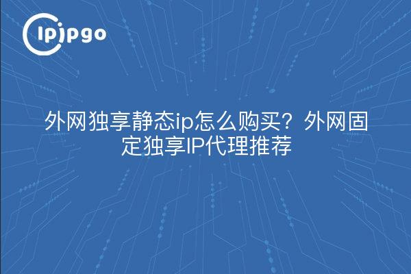 外网独享静态ip怎么购买?外网固定独享IP代理推荐