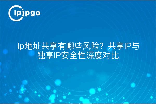 ip地址共享有哪些风险？共享IP与独享IP安全性深度对比