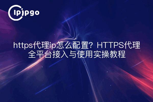 https代理ip怎么配置？HTTPS代理全平台接入与使用实操教程