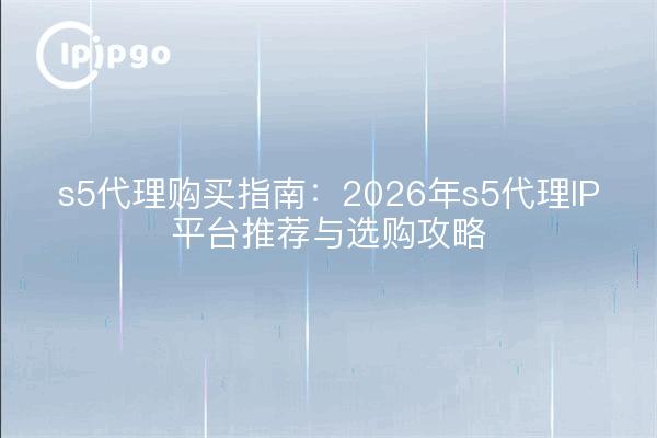 s5代理购买指南：2026年s5代理IP平台推荐与选购攻略