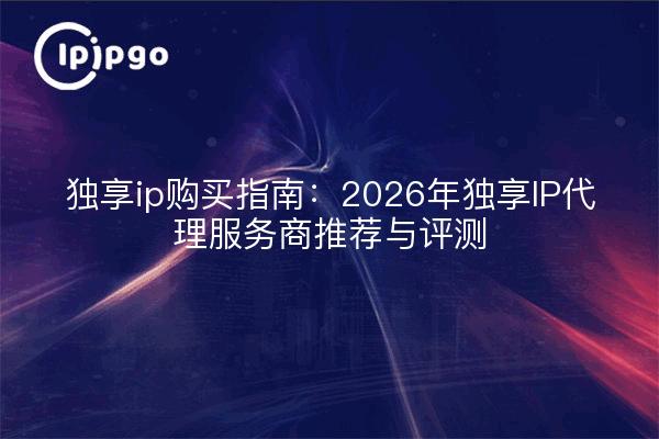 独享ip购买指南：2026年独享IP代理服务商推荐与评测