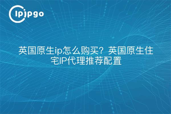 英国原生ip怎么购买？英国原生住宅IP代理推荐配置